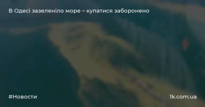 В Одесі зазеленіло море – купатися заборонено