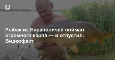 Рыбак из Барановичей поймал огромного карпа — и отпустил. Видеофакт - news.tut.by