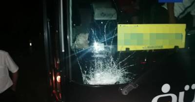 На трассе Киев-Одесса водитель автобуса сбил лося