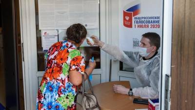 Участие в голосовании приняли более 2 млн петербуржцев