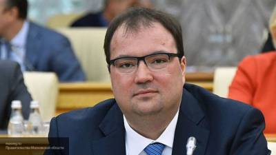 Шадаев назвал удобным электронное голосование по поправкам в Конституцию