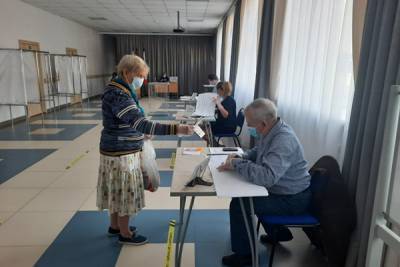 В Ленобласти проголосовали по поправкам в Конституцию более 787 тыс. человек
