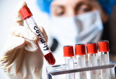 Новые случаи коронавируса выявлены в 13 районах Ленобласти