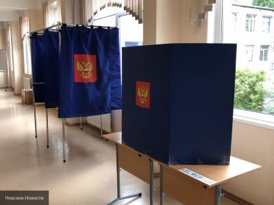 Общественный деятель Деркунская: голосование по поправкам в Иркутске проходит спокойно