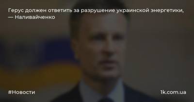 Герус должен ответить за разрушение украинской энергетики, — Наливайченко