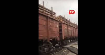 Детсяки вагонов с лесом: в Сети обсуждают загруженные поезда с древесиной на Буковине