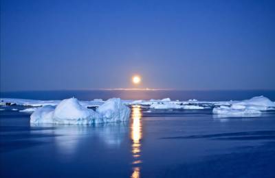 "Жара" в Антарктиде. Южный полюс прогревается в три раза быстрее, чем весь земной шар
