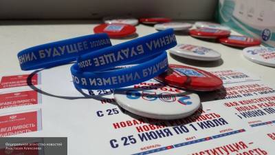 "Школа без опасности": голосование по поправкам в Москве идет максимально прозрачно