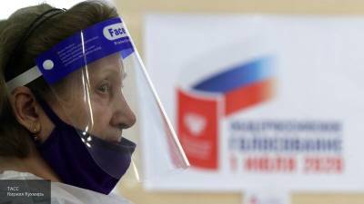 В Новосибирске отметили, что голосование по поправкам в Конституцию идет без нарушений
