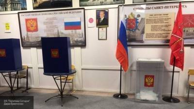 Эксперты оценили организацию голосования по поправкам к Конституции РФ в Петербурге