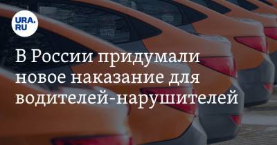 В России придумали новое наказание для водителей-нарушителей