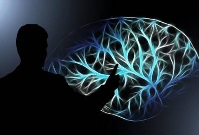 Российские ученые нашли объяснение «быстрой эволюции» мозга человека