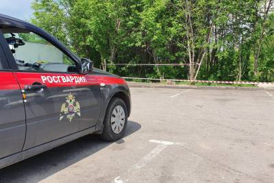 Росгвардейцы в Москве задержали водителя, попавшего в ДТП на угнанном грузовике