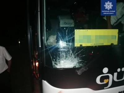 В Киевской области водитель пассажирского автобуса сбил лося