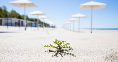 Шезлонги и бунгало: сколько стоит отдых на калининградских пляжах и что там интересного