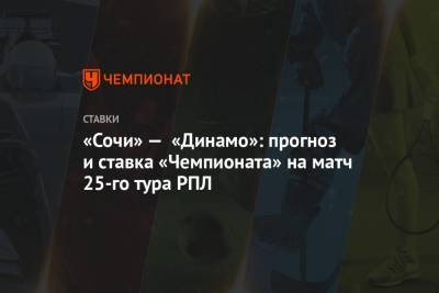 «Сочи» — «Динамо»: прогноз и ставка «Чемпионата» на матч 25-го тура РПЛ