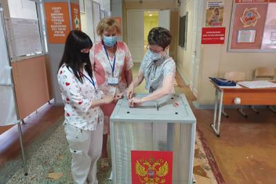 В Петербурге горизбирком получил 10 обращений по голосованию к полудню 1 июля