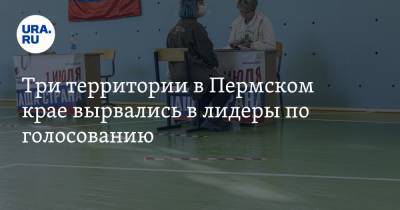 Три территории в Пермском крае вырвались в лидеры по голосованию