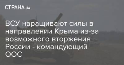 ВСУ наращивают силы в направлении Крыма из-за возможного вторжения России - командующий ООС