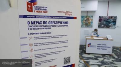 Московский провокатор пытался устраивать скандалы на избирательных участках