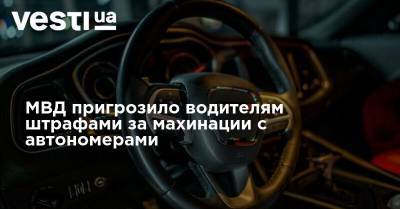 МВД пригрозило водителям штрафами за махинации с автономерами