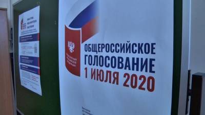 В ОП Хабаровского края назвали голосование по конституции одним из самых спокойных