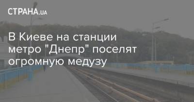 В Киеве на станции метро "Днепр" поселят огромную медузу