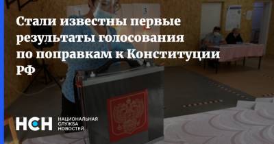 Стали известны первые результаты голосования по поправкам к Конституции РФ