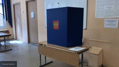 Вице-премьер РФ и глава Росприроднадзора проголосовали по поправкам к Конституции