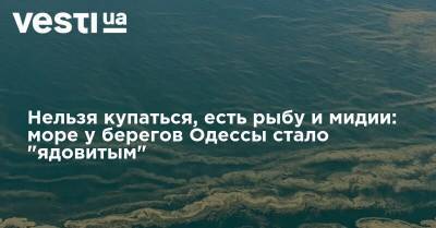 Нельзя купаться, есть рыбу и мидии: море у берегов Одессы стало "ядовитым"