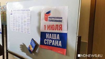 Организаторы акции против поправок на Дворцовой обрекают петербуржцев на аресты и штрафы