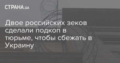 Двое российских зеков сделали подкоп в тюрьме, чтобы сбежать в Украину