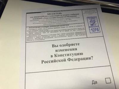 Официальный экзитпол: Две трети петербуржцев поддержали изменение Конституции
