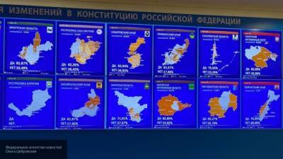 ЦИК опубликовал промежуточные результаты голосования по Конституции РФ