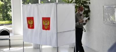 Стали известны новые данные по явке жителей Карелии на голосование по вопросу изменения Конституции