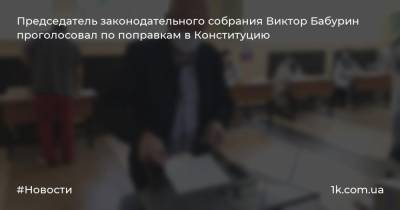 Председатель законодательного собрания Виктор Бабурин проголосовал по поправкам в Конституцию