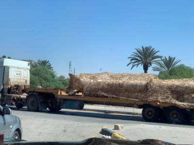 Ливия: боевики Хафтара перебрасывают баллистические ракеты к линии фронта – фото
