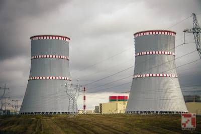 «Экодом» заявляет о новых свидетельствах возможных нарушений при строительстве БелАЭС