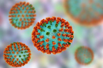 Новый вирус свиного гриппа может повторит сценарий COVID-19 - Cursorinfo: главные новости Израиля