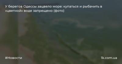 У берегов Одессы зацвело море: купаться и рыбачить в «цветной» воде запрещено (фото)