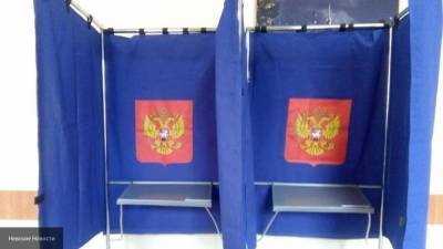 ЦИК РФ объяснила причины публикации предварительных результатов голосования