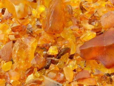 В Житомирской области конфисковали 9,2 тонн незаконно добытого янтаря