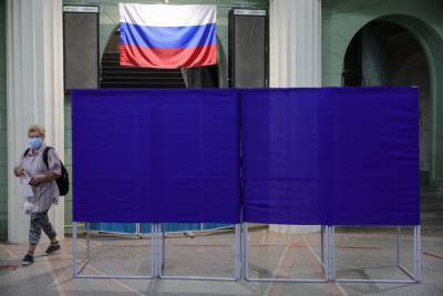 В Волгоградской области проголосовали более 77% избирателей