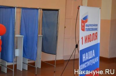 Молодожены, заключившие брак 1 июля, проголосовали по поправкам в Конституцию РФ в Вологде