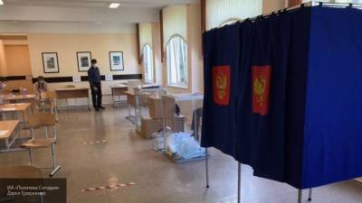Колесников: власти РФ заинтересованы в демократичности голосования