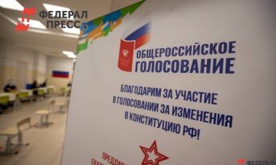 В Челябинской области названы предварительные итоги голосования по Конституции