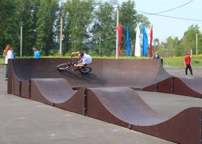 В Кузбассе установят пять новых скейт-парков