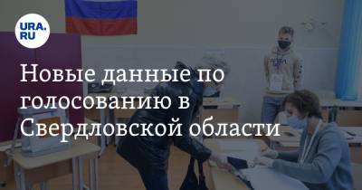 Новые данные по голосованию в Свердловской области