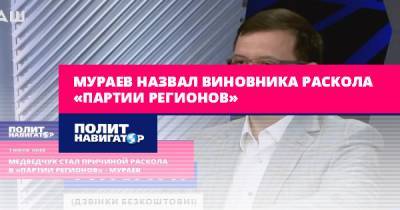 Мураев назвал виновника раскола «Партии регионов»