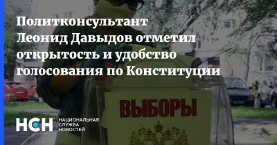 Политконсультант Леонид Давыдов отметил открытость и удобство голосования по Конституции